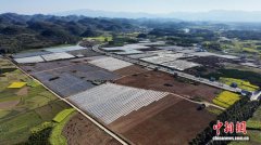 湖南江永科技赋能春耕 打